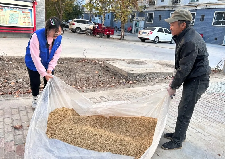 11011730453495544396.png screenshot-1730452930648.png