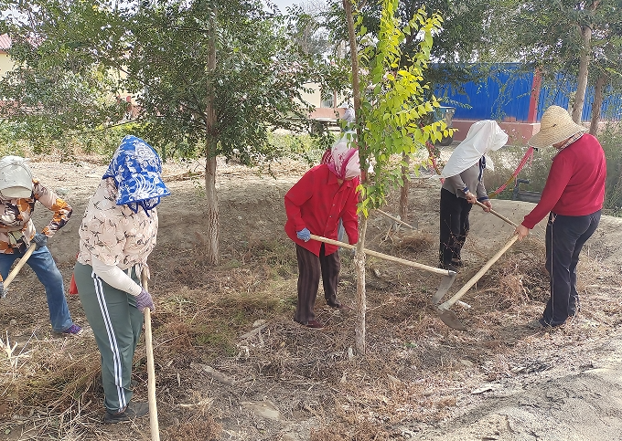 11061730886141979929.png screenshot-1730886120726.png