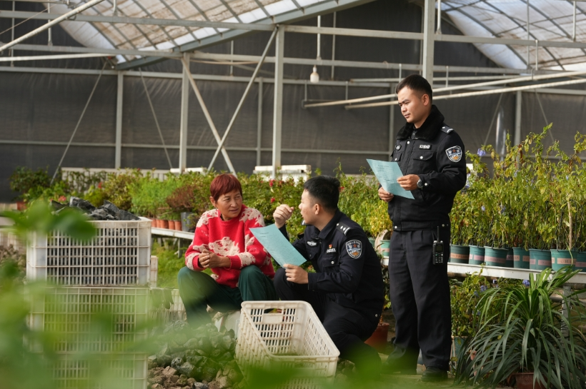 11071730951686886708.png screenshot-1730951649345.png