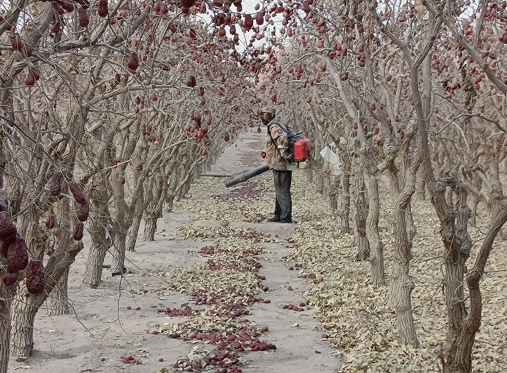 11071730978154928649.png screenshot-1730978106417.png