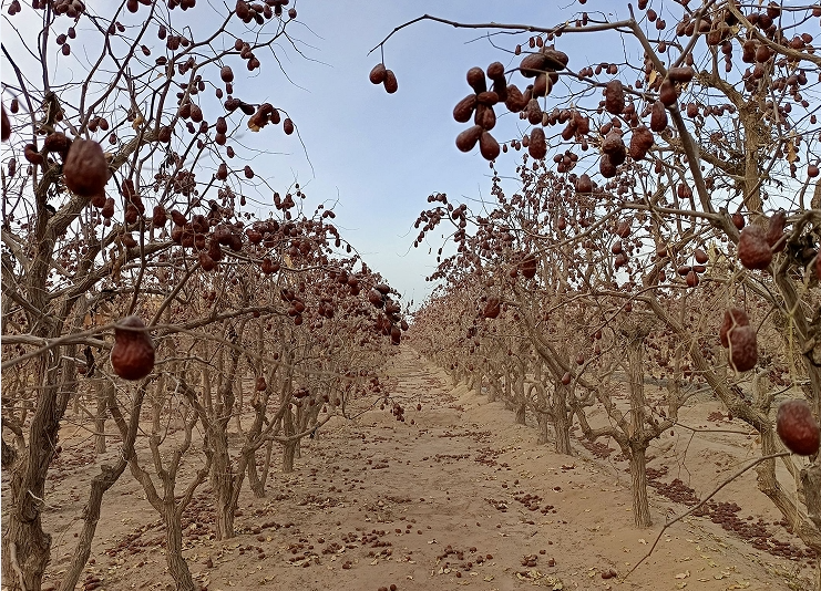 11071730978172959573.png screenshot-1730978127564.png