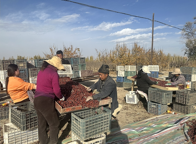 11071730978189447323.png screenshot-1730978139608.png