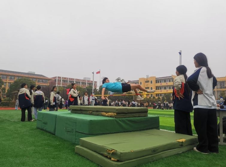 11181731889193150559.png screenshot-1731889154477.png