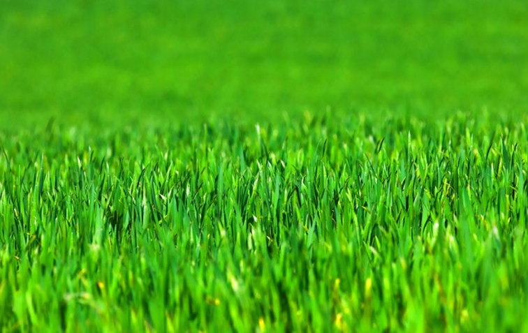 11181731917468930015.png screenshot-1731917223294.png