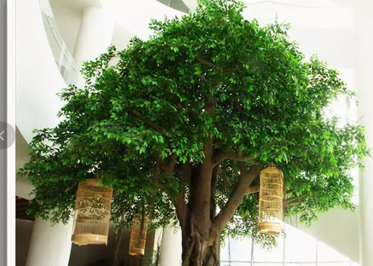 11181731917504785775.png screenshot-1731917239814.png