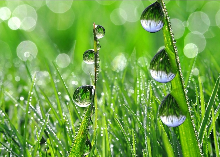 11181731917522603364.png screenshot-1731917298260.png