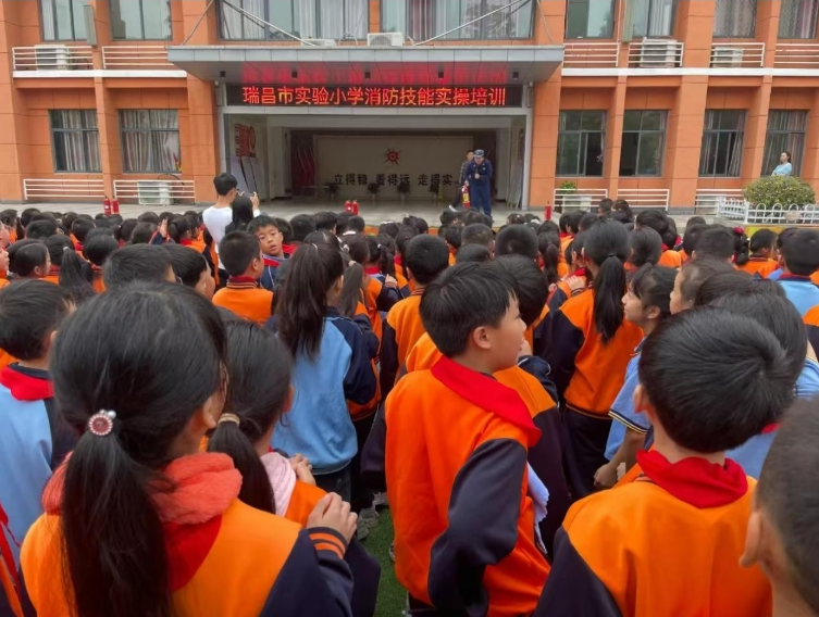 11211732155253845809.png screenshot-1732155218159.png