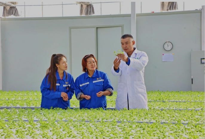 11261732609594442245.png screenshot-1732609232080.png