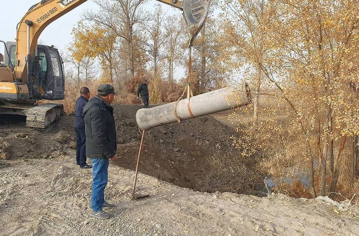 11261732622476921456.png screenshot-1732622408882.png