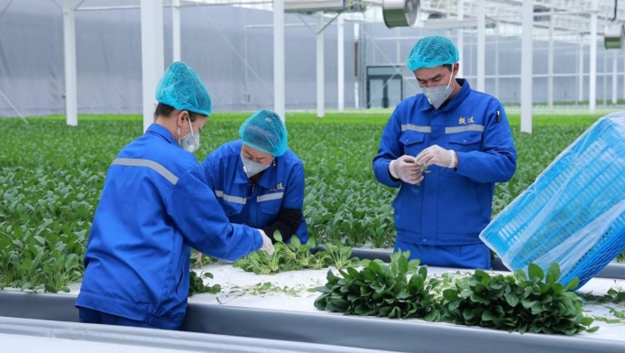 11271732698738978974.png screenshot-1732698083306.png