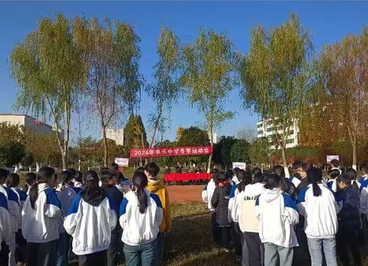 11291732873144960990.png screenshot-1732873123108.png