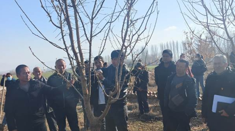 12031733218415312020.png screenshot-1733218395103.png