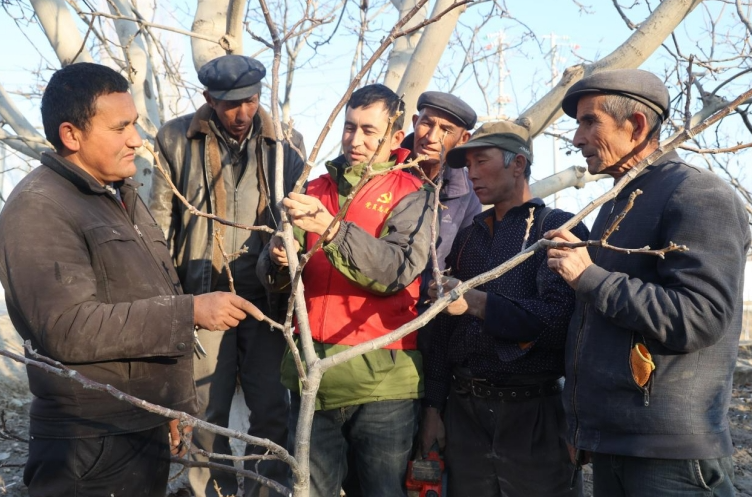 12031733233176216287.png screenshot-1733233131231.png