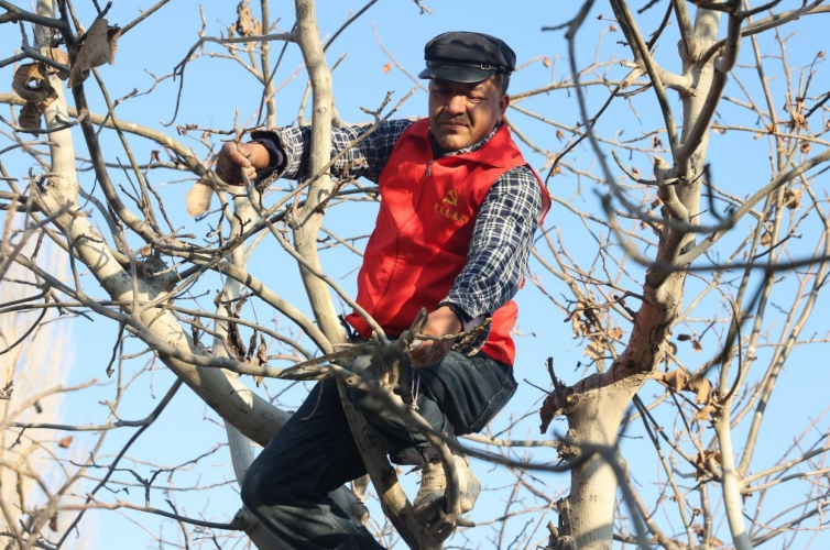 12031733233181466711.png screenshot-1733233142184.png