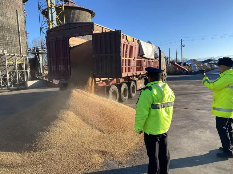 12041733311518382343.png screenshot-1733311475811.png