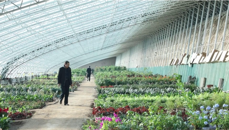 12041733313694283402.png screenshot-1733313309041.png