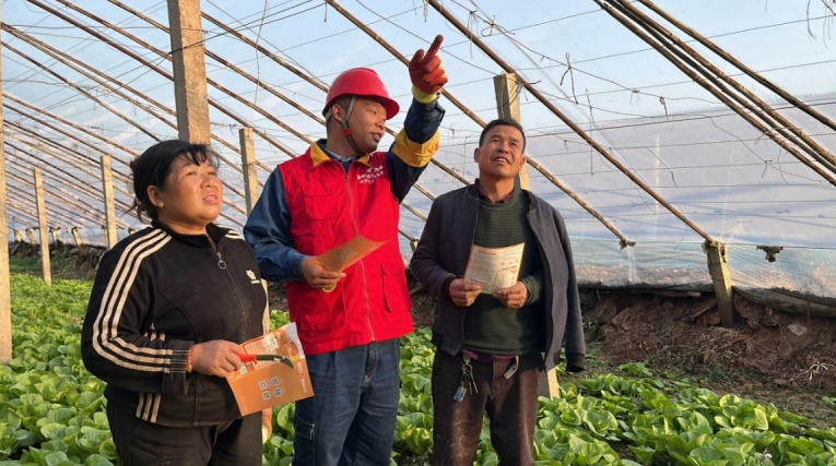 12061733476421876416.png screenshot-1733475776253.png