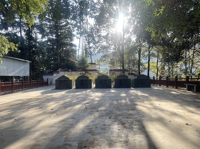 12061733489516995122.png screenshot-1733489461975.png