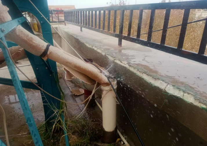 12101733817128481967.png screenshot-1733817120861.png