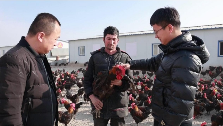 12111733903809478792.png screenshot-1733903528621.png