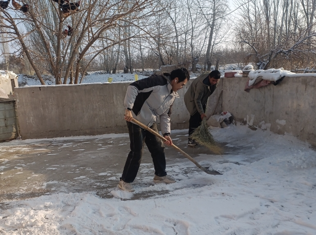 12121734012637284766.png screenshot-1734012405394.png