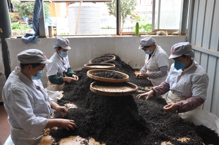 12181734486735468276.png screenshot-1734486559520.png