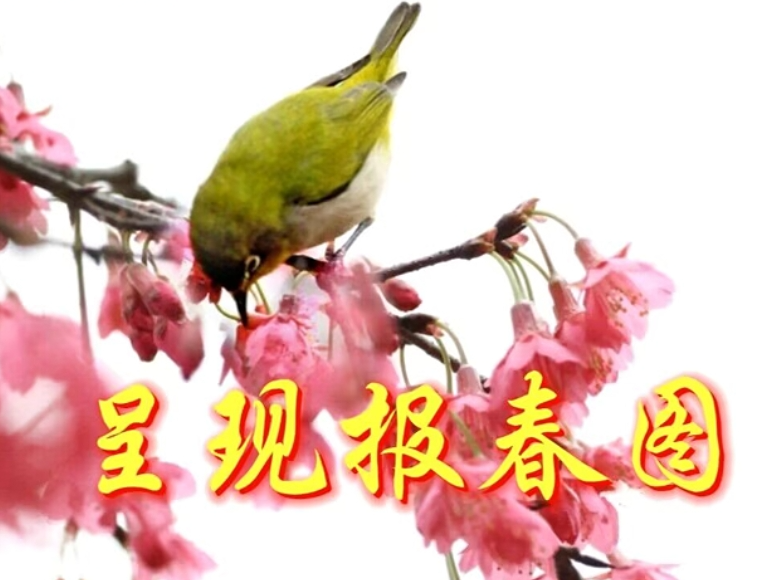 12181734492659525320.png screenshot-1734492611387.png