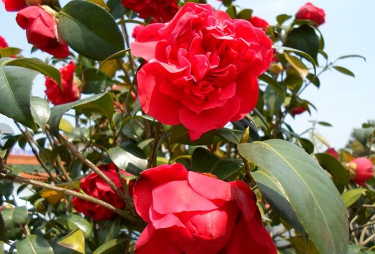 12181734492669531885.png screenshot-1734492623009.png