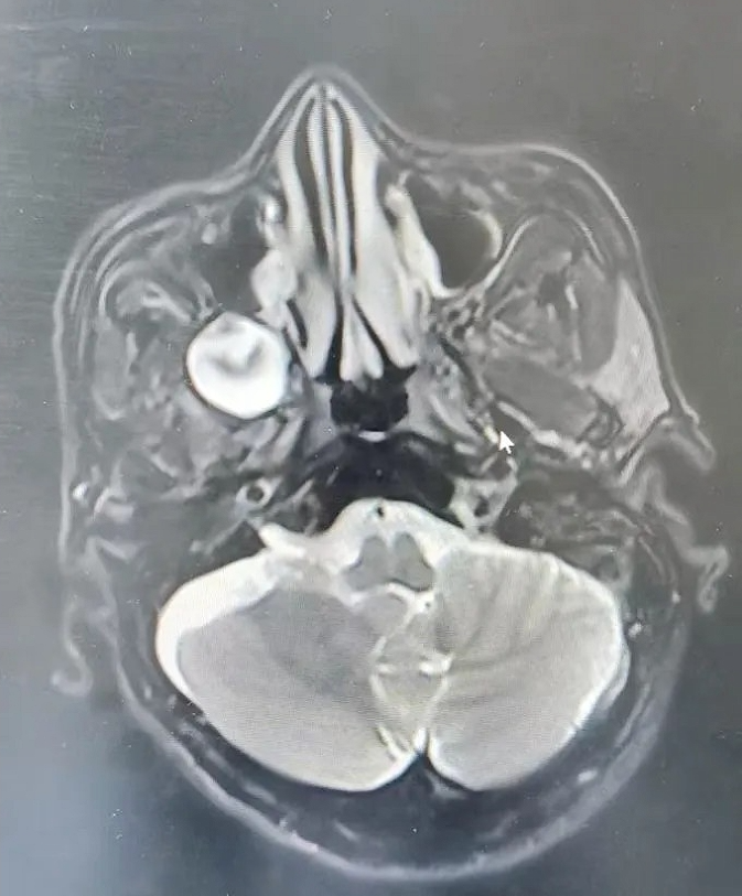 12271735285827303578.png screenshot-1735285806540.png