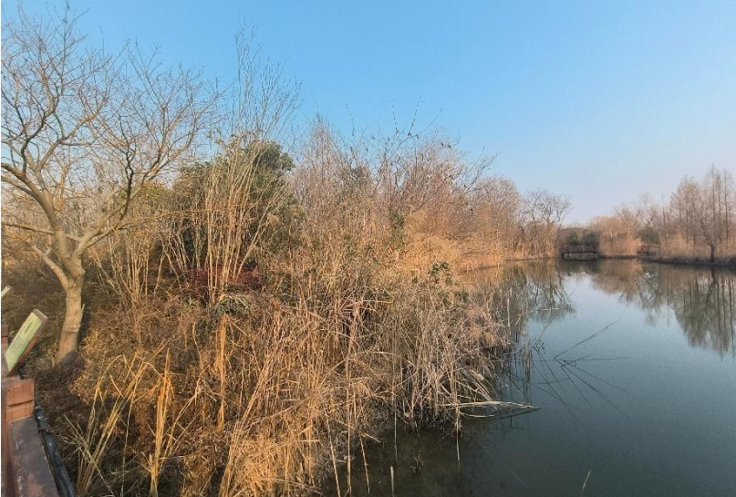 01221737535532832351.png screenshot-1737535395737.png