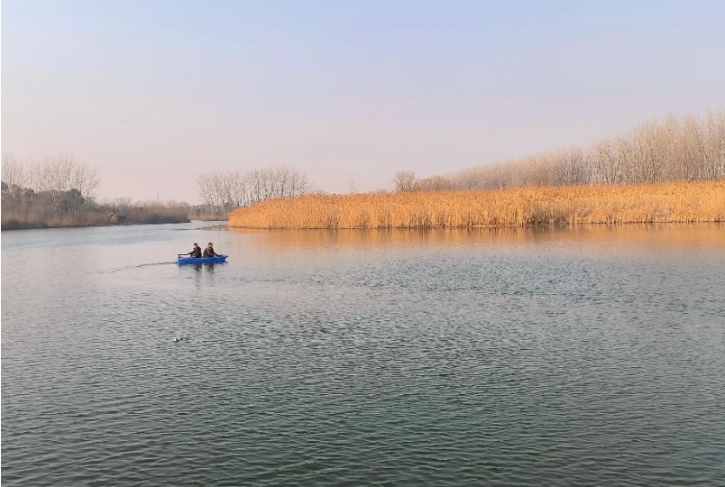 01221737535563544895.png screenshot-1737535409384.png