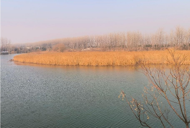 01221737535576468292.png screenshot-1737535424252.png