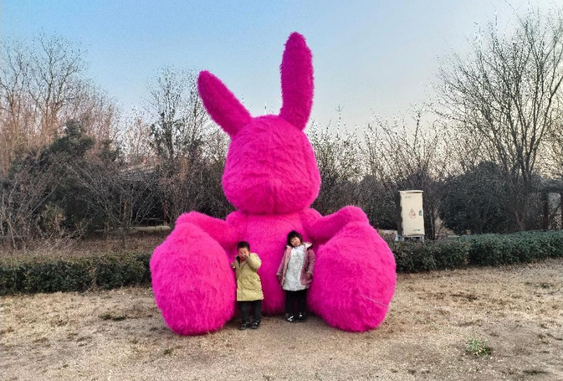 01221737535619247840.png screenshot-1737535495792.png