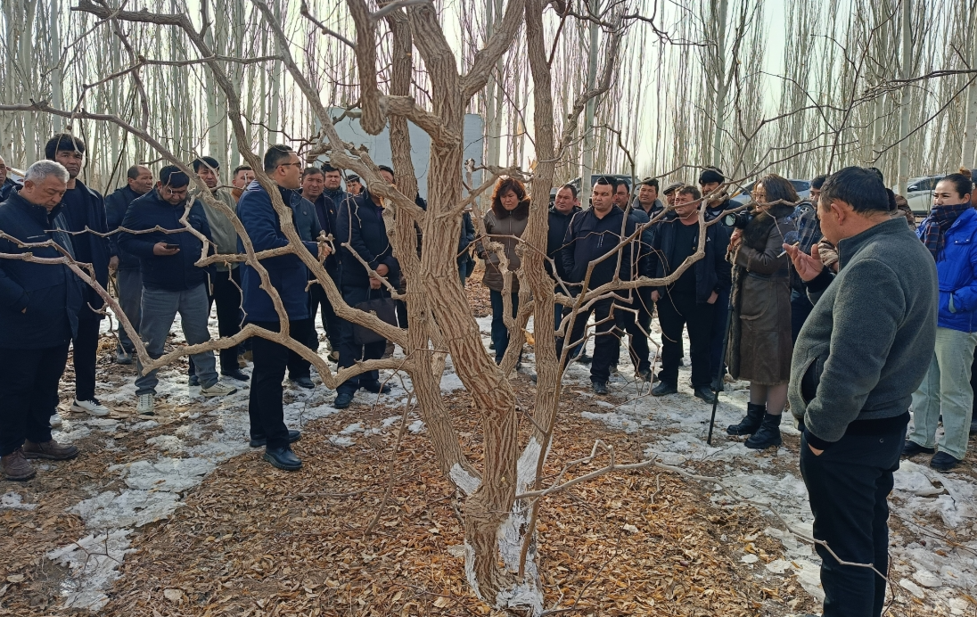 02141739541097170439.png screenshot-1739541058005.png