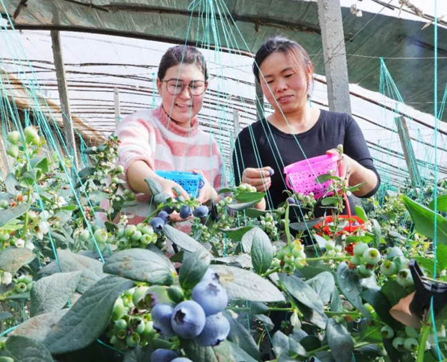 02171739792253151123.png 屏幕截图 2025-02-17 193705.png