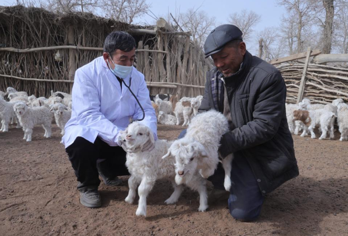 屏幕截图 2025-02-19 191707.png