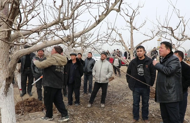 屏幕截图 2025-02-19 192037.png