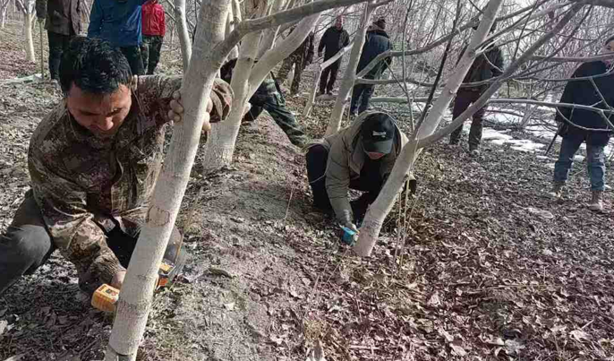 屏幕截图 2025-02-20 185616.png