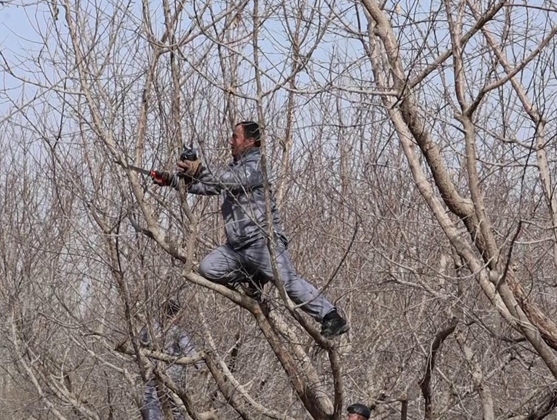 屏幕截图 2025-02-24 205445.png