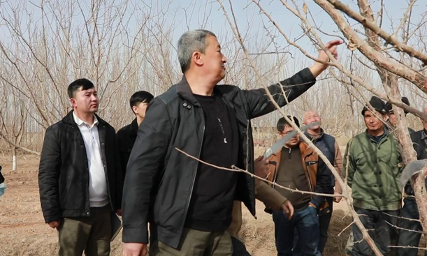 屏幕截图 2025-02-25 203104.png