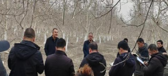 02271740644985985675.png 屏幕截图 2025-02-27 162934.png