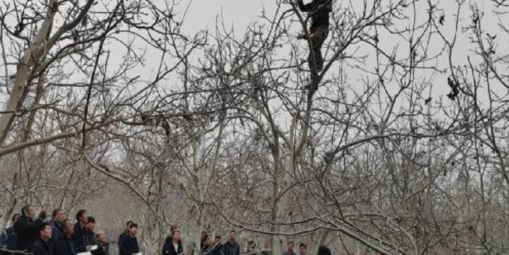 02271740644992773835.png 屏幕截图 2025-02-27 162940.png