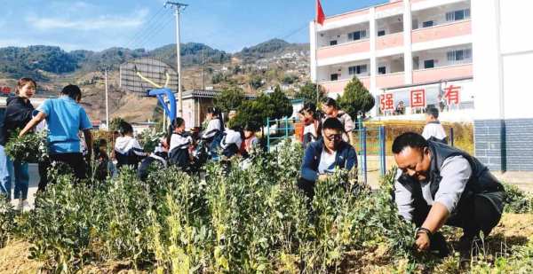 屏幕截图 2025-02-28 144903.png