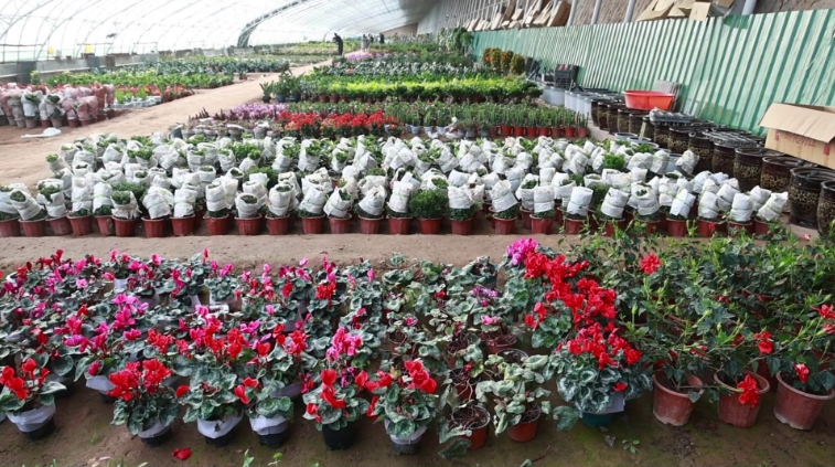 02281740749194730781.png screenshot-1740749168813.png