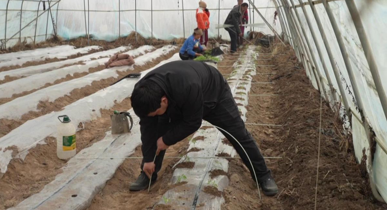 屏幕截图 2025-03-03 202757.png