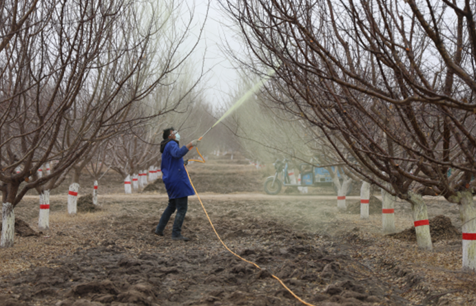 03111741693376200230.png 屏幕截图 2025-03-11 194250.png