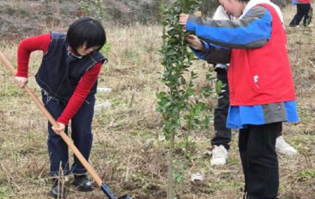 屏幕截图 2025-03-12 153528.png