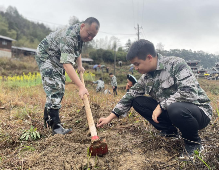 屏幕截图 2025-03-12 160629.png