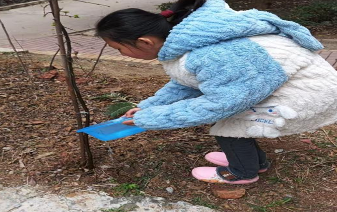 屏幕截图 2025-03-12 185550.png