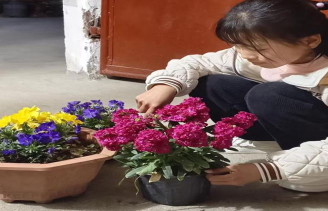 屏幕截图 2025-03-12 185554.png